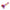 TSZS Nails Brush Popular Round Small Flower Nail Paint Gel Make Up Dust Cleaning Nail Art Dust Powder Remover Dust Brush