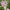 Hello Kitty Cat Dolls With Artificial Flowers Creative Bouquet  Valentine  Gifts