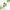 COSRX Centella Water Alcohol Free Toner
