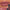 1pc Matte Velvet Lip Gloss,