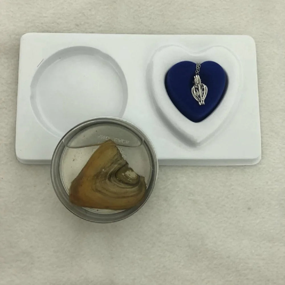 DIY Pearl Oyster Necklace Jewelry Making Kit, Perfect Valentine's Day Gift