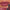 1pc Matte Velvet Lip Gloss,