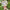 Hello Kitty Cat Dolls With Artificial Flowers Creative Bouquet  Valentine  Gifts