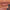 1pc Matte Velvet Lip Gloss,