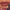 1pc Matte Velvet Lip Gloss,