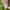 Hello Kitty Cat Dolls With Artificial Flowers Creative Bouquet  Valentine  Gifts