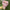 Hello Kitty Cat Dolls With Artificial Flowers Creative Bouquet  Valentine  Gifts