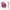 Petal Blush Set with Brush,Long-Lasting Face Makeup