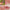 Fenty Beauty Transparent Lip Glaze Color Mirror Shine Glitter