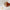 Beauty of Joseon Ginseng Essence Skin Care Water Moisturizing Hydrating Essence Toner