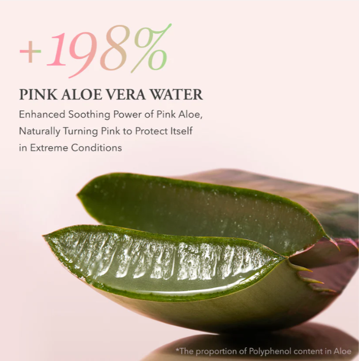 Pink Aloe Facial Polish Cleanser