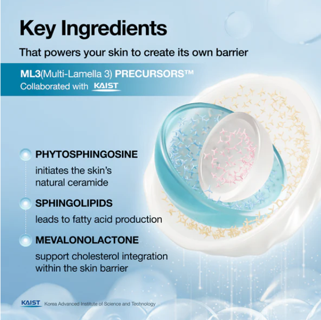 Anua Barrier Reboot™ Moisturizer Collection