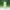 Beplain Mung Bean Pore Tight-Up Soothing Toner