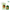 Dr. Althea Vitamin C Serum Collection