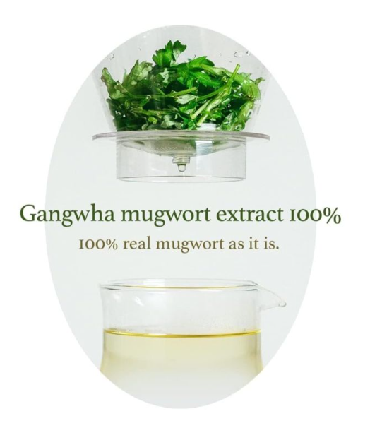 I'm from Mugwort Essence