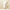 Im From Rice Whip Facial Cleanser 150ml