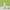 iUNIK - Centella Bubble Cleansing Foam