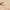 KSECRET SEOUL 1988 Cream: Retinal Liposome 1% + Fermented Rice