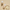 KSECRET SEOUL 1988 Cream: Retinal Liposome 1% + Fermented Rice