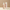 KSECRET SEOUL 1988 Essence: Snail Mucin 97% + Rice