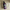 KUNDAL Honey & Macadamia Nature Shampoo Or Treatment Cherry Blossom
