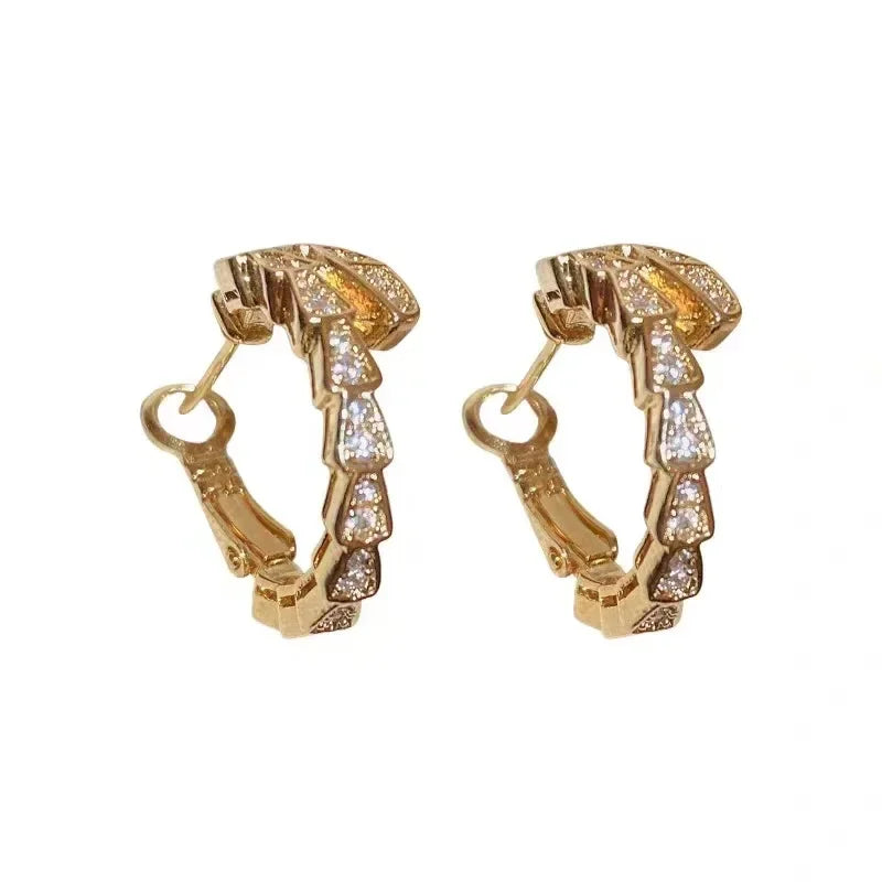 Fashionable Minimalist Super Shiny earring