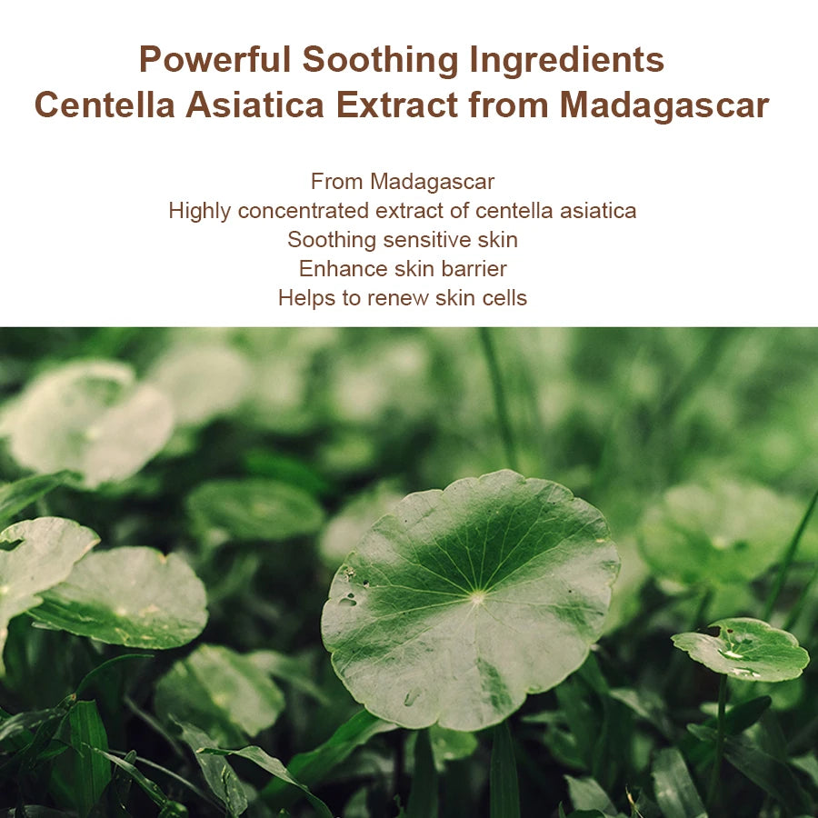 Skin1004 Madagascar Centella asiatica probiotic toner
