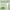 MIXSOON Facial Serum Assay Cleansing Milk Oil Control Acne Removal Moisturizing Skin Care Soy-based Facial Cleanse Skincare
