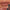1pc Matte Velvet Lip Gloss,
