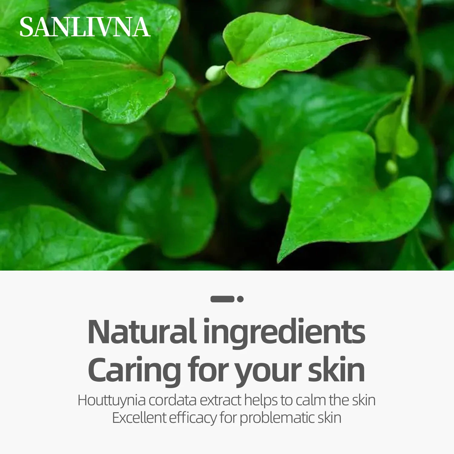 Heartleaf 77 Toner CLEAR Pad ,