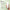 MIXSOON Facial Serum Assay Cleansing Milk Oil Control Acne Removal Moisturizing Skin Care Soy-based Facial Cleanse Skincare